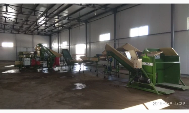 Линия сортировки, фасовки, упаковки картофеля, овощей, моркови, лука, свеклы, фруктов - фото № 5