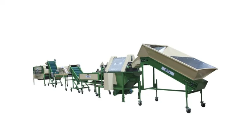 Линия сортировки, фасовки, упаковки картофеля, овощей, моркови, лука, свеклы, фруктов - фото № 6