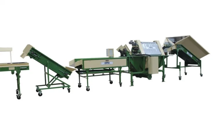 Линия сортировки, фасовки, упаковки картофеля, овощей, моркови, лука, свеклы, фруктов - фото № 7