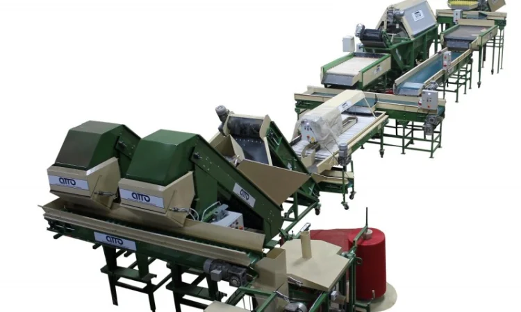 Линия сортировки, фасовки, упаковки картофеля, овощей, моркови, лука, свеклы, фруктов - фото № 9