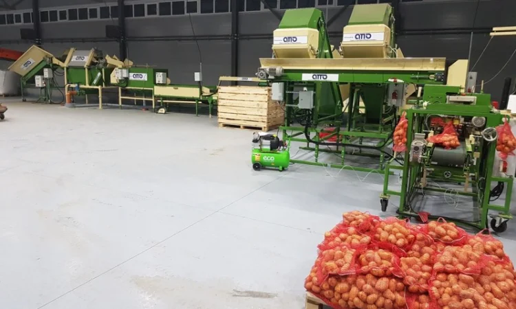 Линия сортировки, фасовки, упаковки картофеля, овощей, моркови, лука, свеклы, фруктов - фото № 11