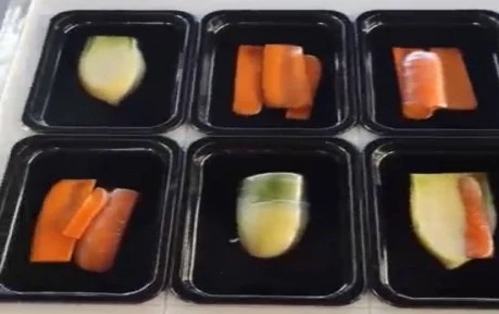 Термоформер вакууматор STvega Vac Termoformer H700 - фото № 2