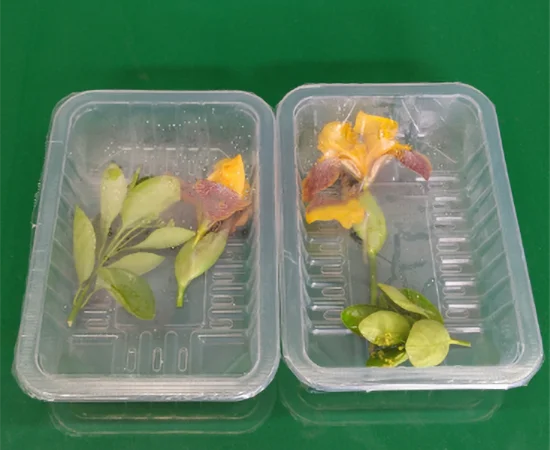 Промисловий автоматичний вакууматор STvega Vac Termoformer H460 - фото № 6