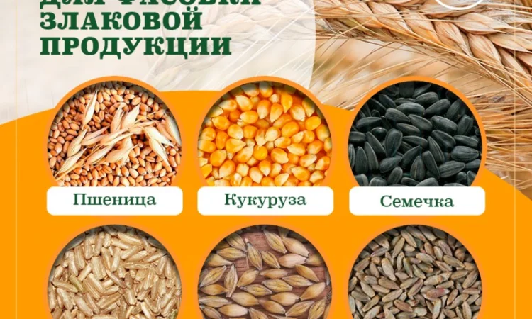 Линия фасовки в мешки 10-50 кг - фото № 2