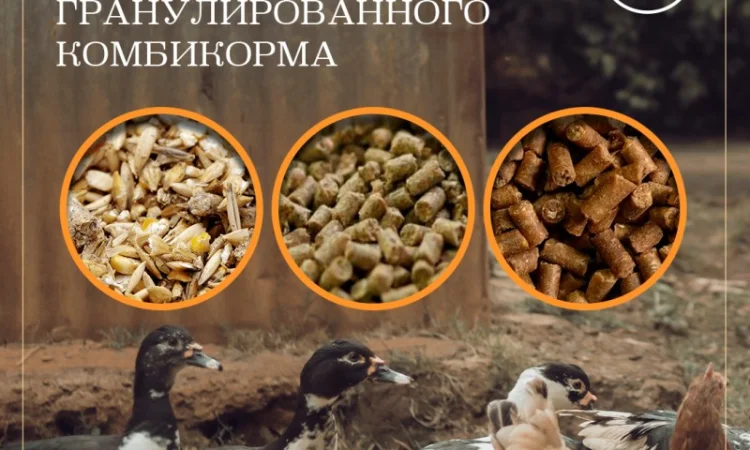 Линия фасовки в мешки 10-50 кг - фото № 3