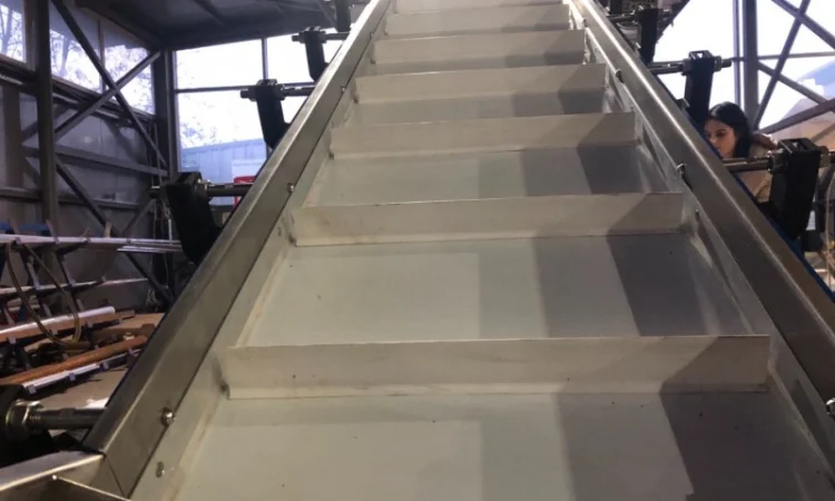 Фасувальний конвеєр по вазі - фото № 2