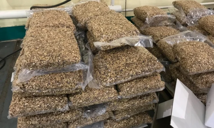 Вакуумная упаковочная машина однокамерная YOUNGSUN YS-DQ-500D - фото № 3