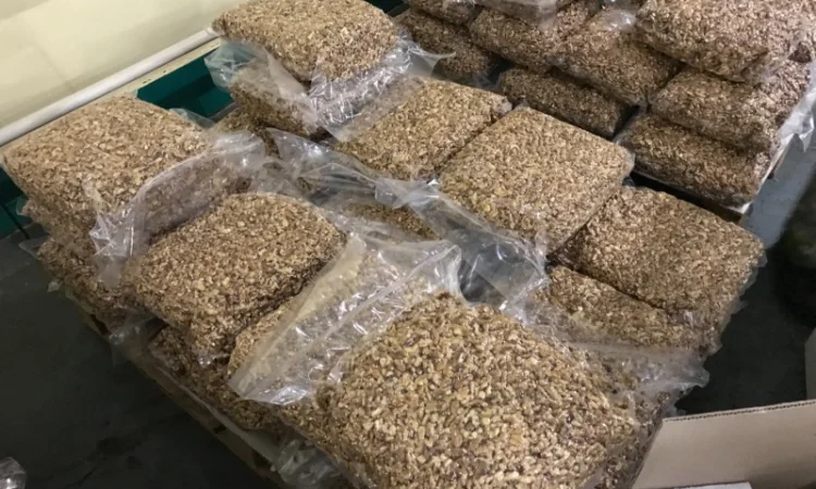 Вакуумная упаковочная машина однокамерная YOUNGSUN YS-DQ-500D - фото № 2