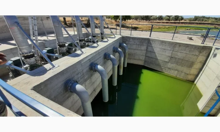 Насосные станции для орошения и полива полей Caprari - фото № 2