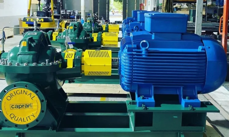 Насосы двустороннего входа Caprari SCC для орошения - фото № 3