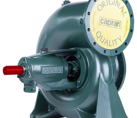 Насосы для орошения Caprari BHR - фото № 1