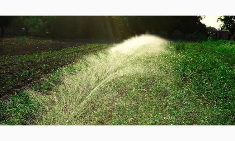 Шланг Туман, Голден Спрей (Golden spray) Капельный полив Капельная лента - фото № 13