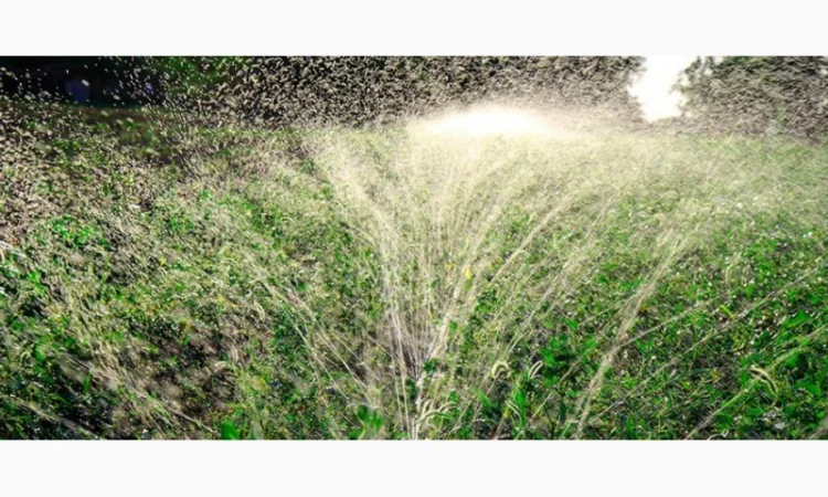 Шланг Туман, Голден Спрей (Golden spray) Капельный полив Капельная лента - фото № 12