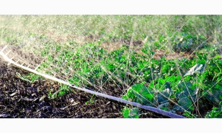 Шланг Туман, Голден Спрей (Golden spray) Капельный полив Капельная лента - фото № 11