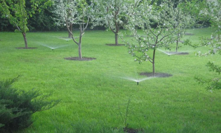 Автоматичні системи поливу З РОЗУМОМ - фото № 2