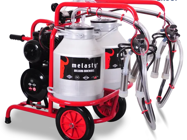Доильный аппарат для двух коров в два ведра Melasty TK 2-2 AS - фото № 1