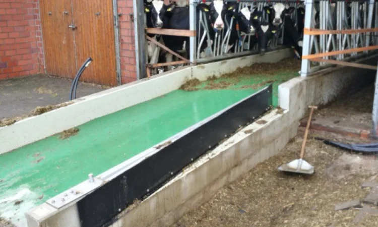 Транспортер для кормового столу для подачі корму для годівлі ВРХ - фото № 1