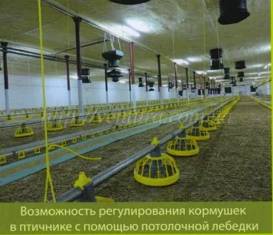 Линия кормления Италия - фото № 6