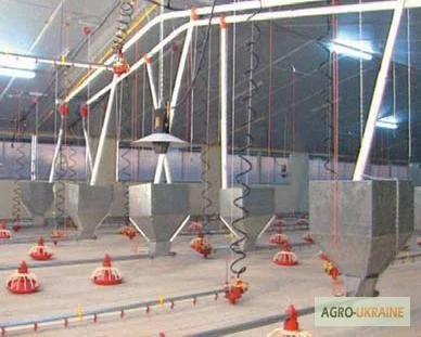 Продам оборудование для напольного выращивания бройлеров - фото № 6