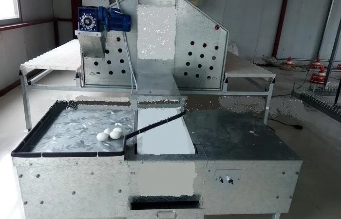 Продам оборудование для напольного выращивания бройлеров - фото № 7