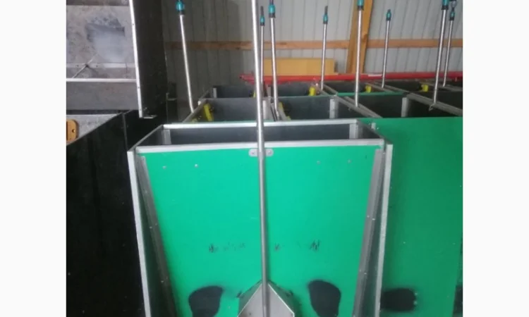 Бункерні годівницяі із зволоженням - фото № 1