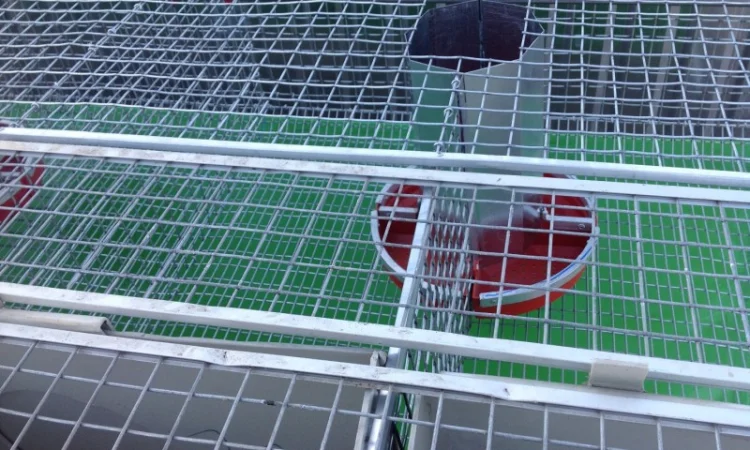 Бункерная кормушка для кроликов - фото № 4