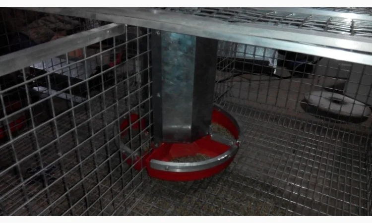 Бункерная кормушка для кроликов - фото № 5