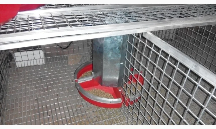Кормушка пластиковая для кроликов - фото № 4