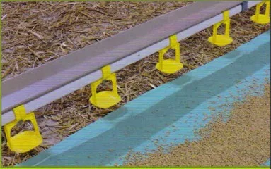 Линия поения для бройлеров - фото № 1