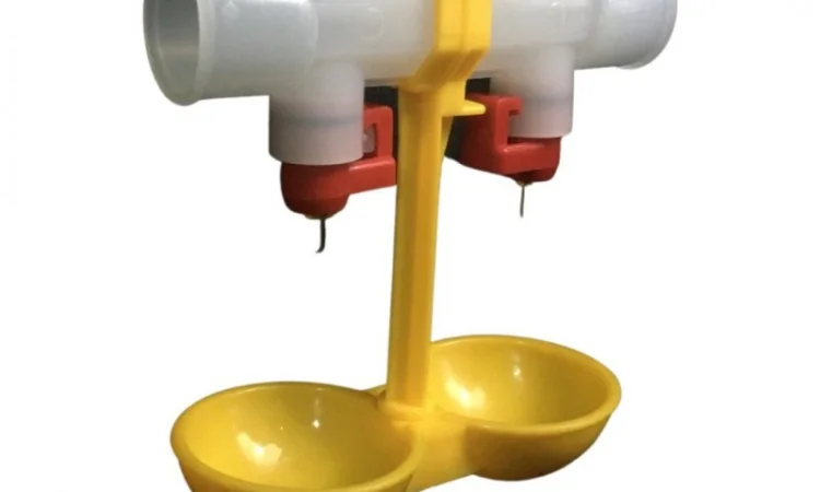 Поїлки 3л, 6л для птиці, бройлерів, перепілок, качок, гусей, фазанів - фото № 1