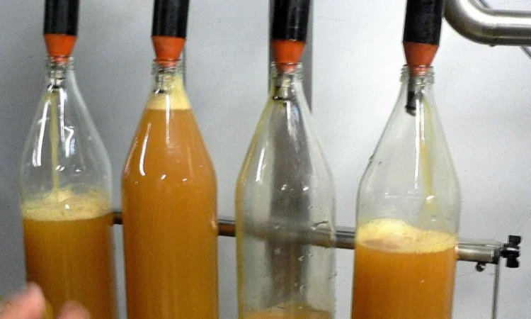 Професійна лінія виробництва натуральних соків - фото № 1