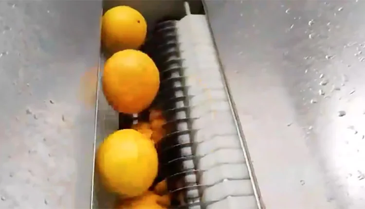 Соковижималка для цитрусових STvega CJ H1600 - фото № 5