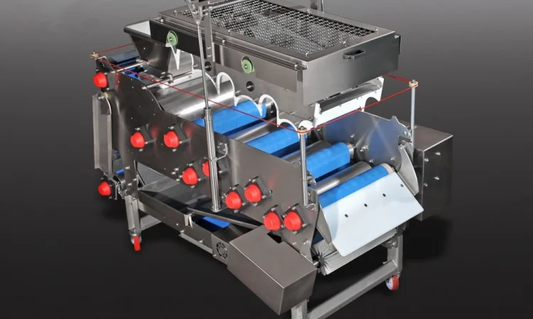 Ленточные пресса для фруктов разной производительности - фото № 1