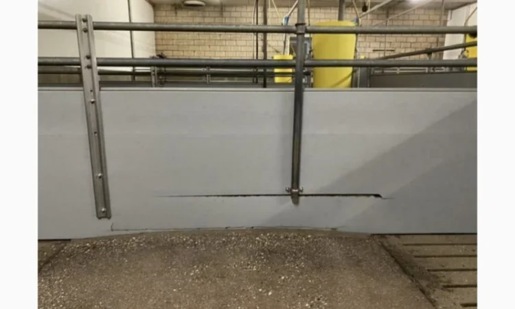 Перегородки для відгодівлі з годівницями гроба - фото № 3