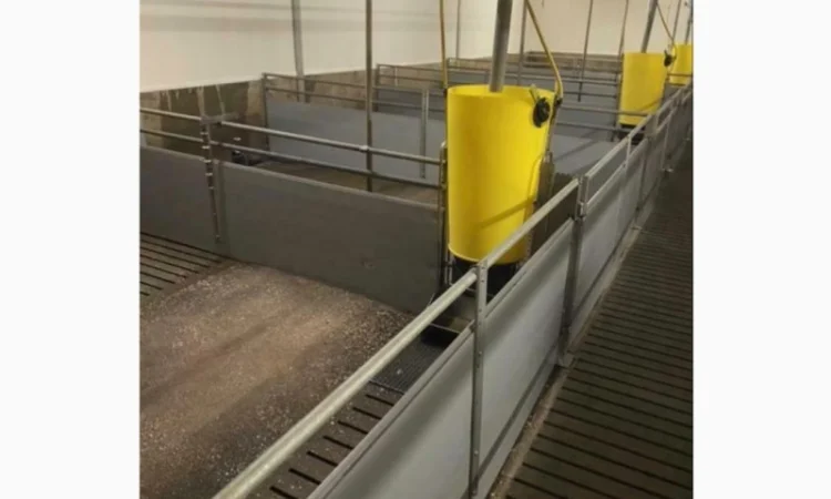 Перегородки для відгодівлі з годівницями гроба - фото № 4