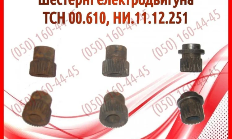 Шестерні електродвигуна ТСН 00.610, НИ.11.12.251 - фото № 1