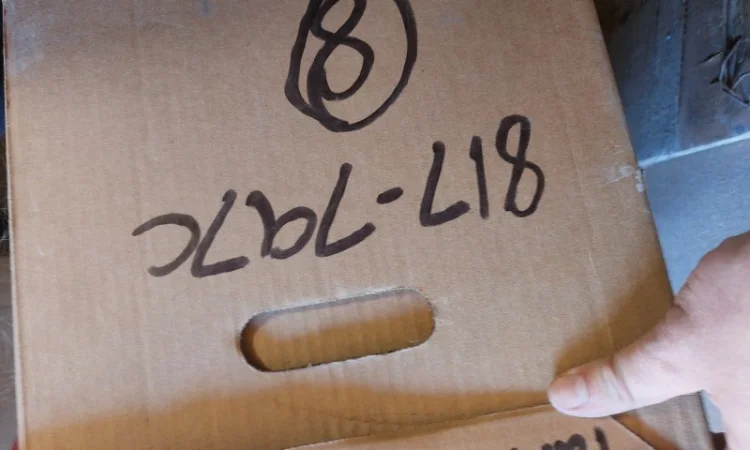 Диск висіваючий 40 відп, дрібна кукурудза, GP YP1625AH / YP825A 817-797C - фото № 2