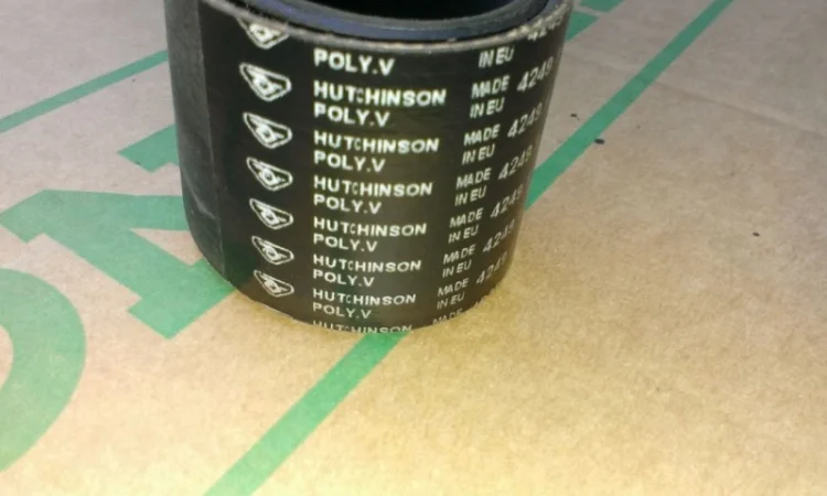 4249 Ремінь спеціальної турбіни високої потужності 500 об.мин.(10219068) Monosem (Моносем) - фото № 2