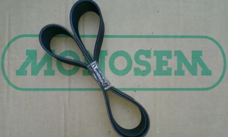 4249-1 Ремінь 4249.1 monosem 1000 об/хв (10219078) - фото № 1