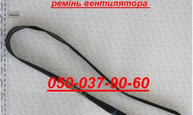 Ремні та ремкомплекти Оригінал до сівалок Гаспардо Ремінь V1270 J-18шт Модель F06010166 - фото № 1