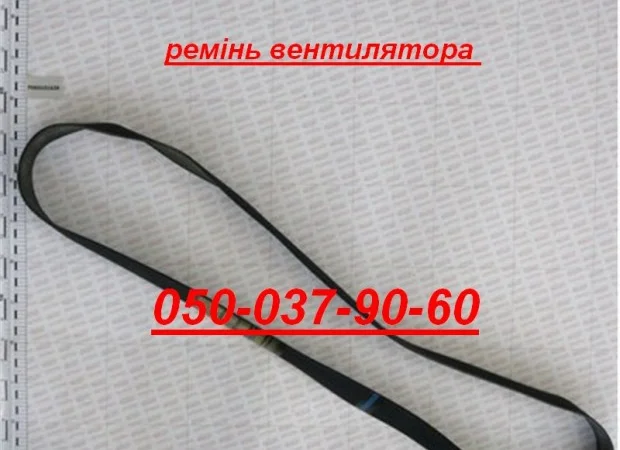 G66248068 Ущільнювач вакуумної камери SP( 19000680) - фото № 3