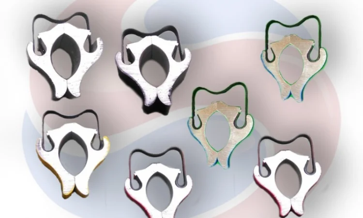 00170165 Комплект кліпс Хорш - фото № 1