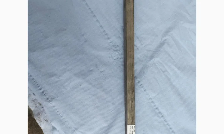 Вал 4017282 FARMET Digger глубокорыхлитель - фото № 1