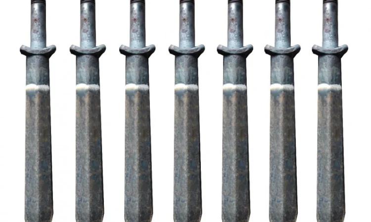 Зуб Борони Шлейфової Зубової - фото № 5