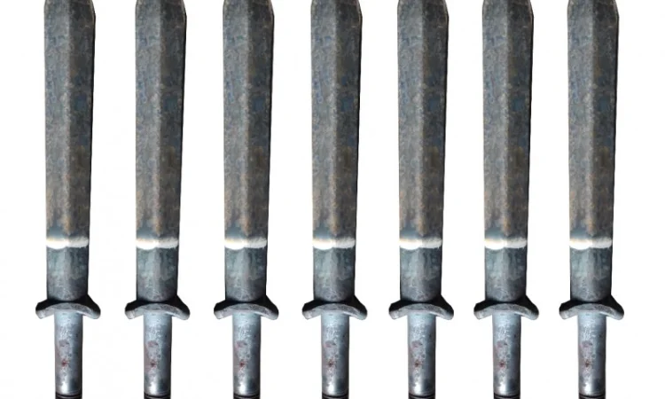 Зуб Борони Шлейфової Зубової - фото № 6