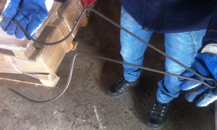 Шпиця зуб грабарки гребки граблі ворошилки ворушилки сонечко Польща - фото № 4