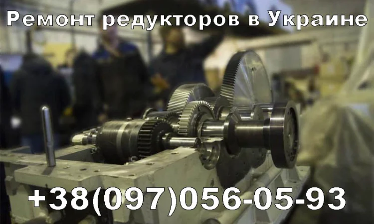 Ремонт редукторов Bauer - фото № 1