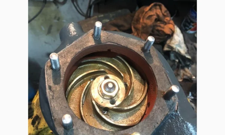 Водяные помпы дизелей У1Д6, 1Д6, 3Д6, 7Д6, 1Д12, 7Д12, 6Ч12/14 в Льаов, Ужгород, Днепр, Кривой Рог - фото № 15