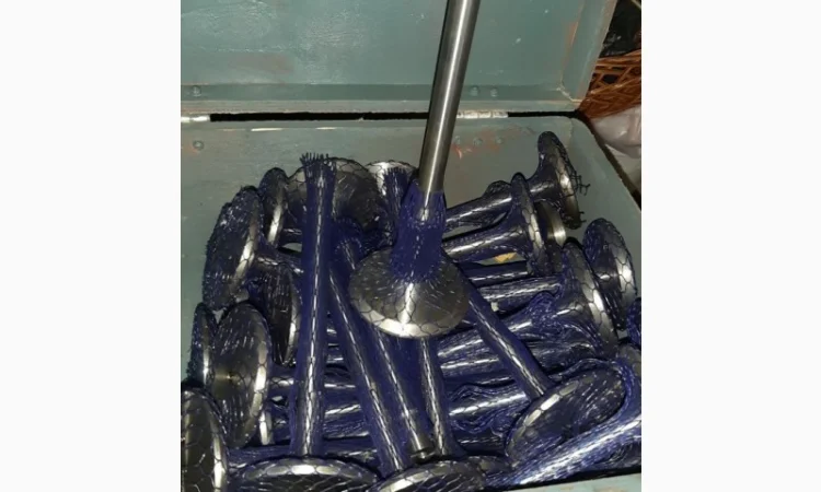 Клапана ГРМ дизелей Nvd-48, Nvd-36, Scoda-275, 160, 6чн25/34, 6чн18/22 в Одесса, Николаев, Киев - фото № 15