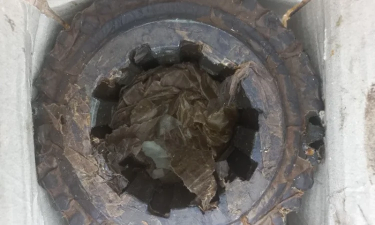 Насос масляный В-55 (24 шлица) в Харьков, Полтава, Сумы, Житомир, Киев, Николаев, Львов, Чернигов - фото № 12